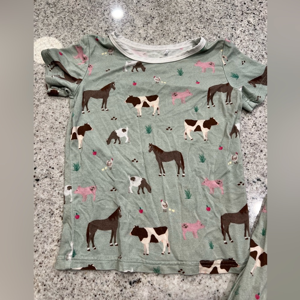 Bamboo Pajamas 2T - Picture 3 of 7